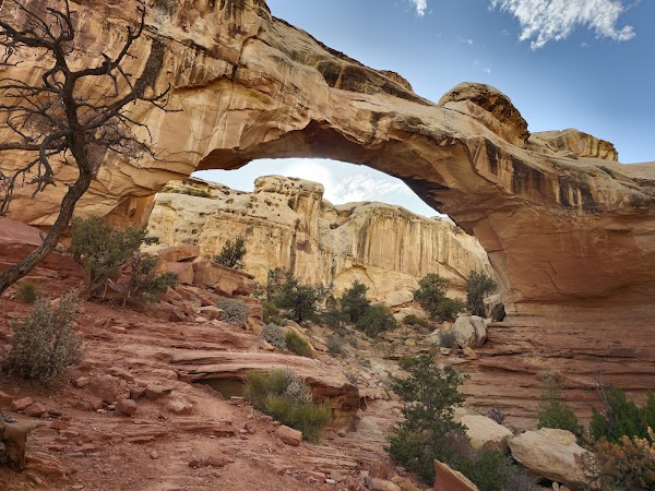 Hickman Natural Bridge