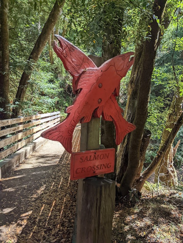 Samuel P. Taylor State Park 2