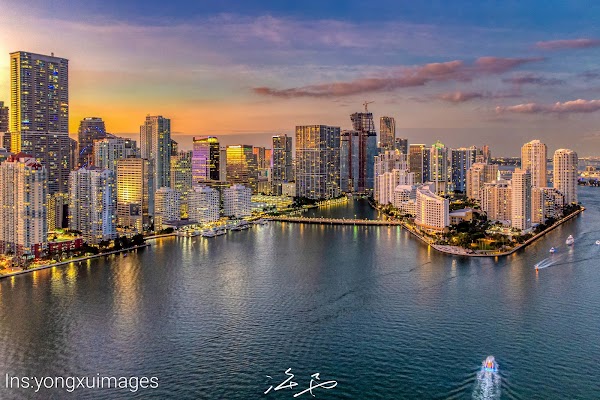 Brickell 5