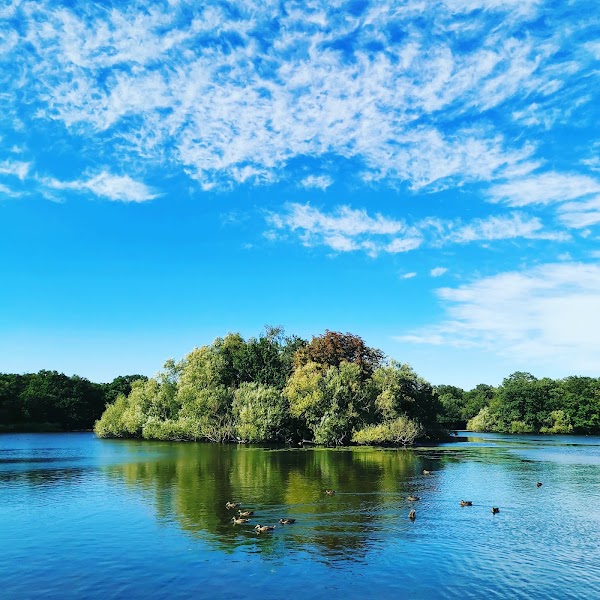 Epping Forest 4
