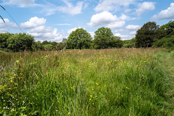 Epping Forest 3