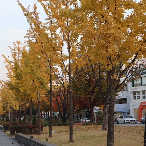 Seoul 18