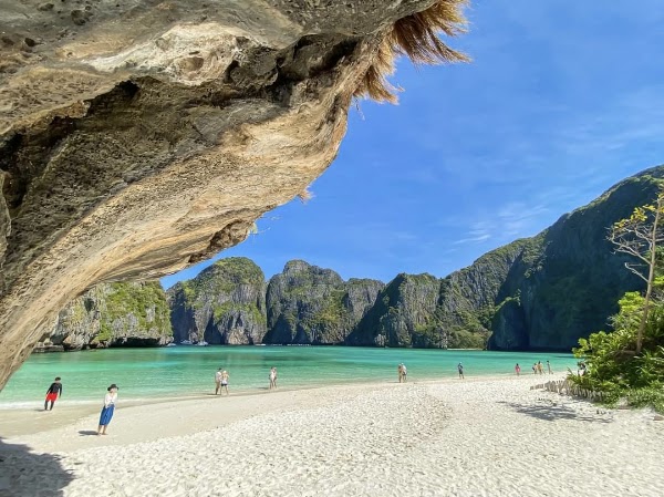 Monkey Beach 4