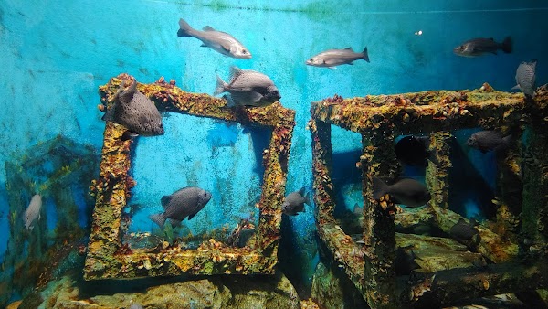 울진아쿠아리움 1