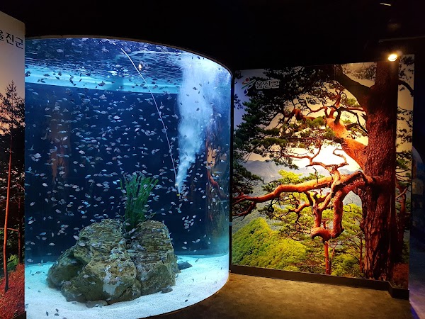 울진아쿠아리움 3