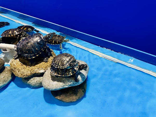 울진아쿠아리움 2