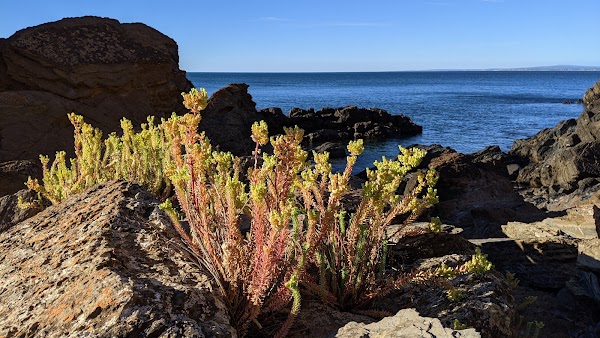 Myponga Beach 2