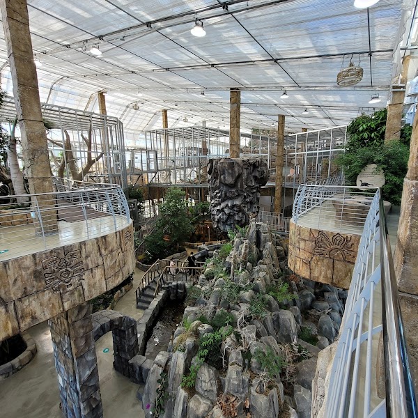 Osan Bird Park