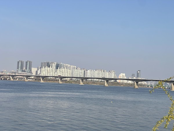 Cherry Blossom Street 3