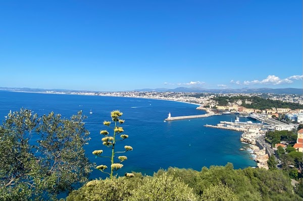 Boulevard Napoléon III viewpoint 5