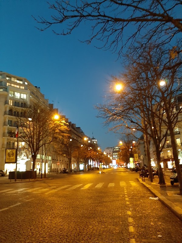 Avenue George V 3