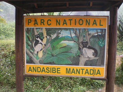 Andasibe-Mantadia National Park