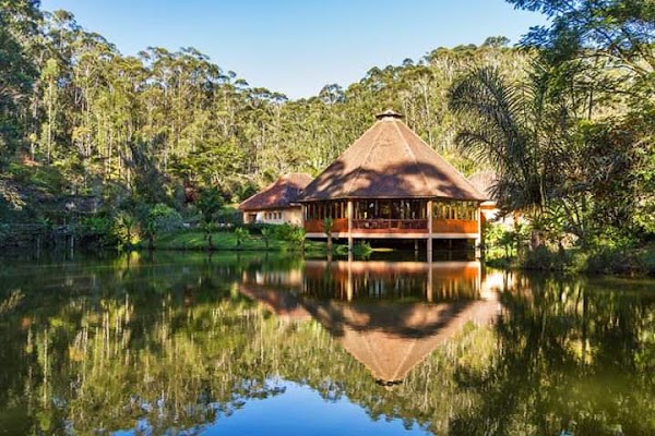 Andasibe-Mantadia National Park 5