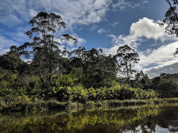 Andasibe-Mantadia National Park 4