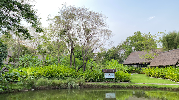 Elephant POOPOOPAPER Park Chiang Mai