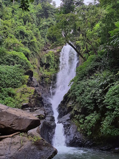Goa 46