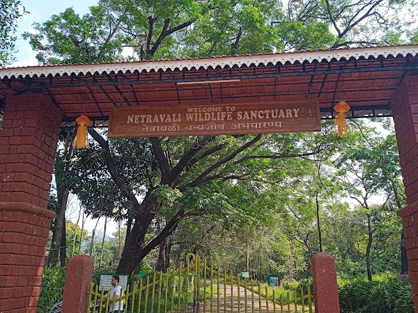 Netravali Wildlife Sanctuary 4