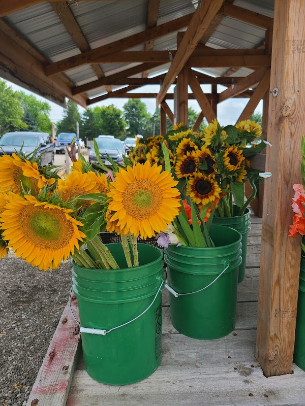 Laura’s Farm Stand 2