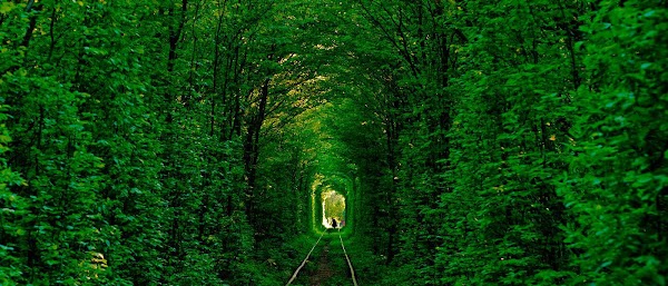 Tunnel of Love
