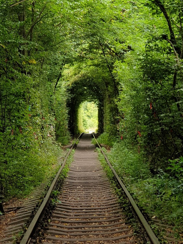 Tunnel of Love 5
