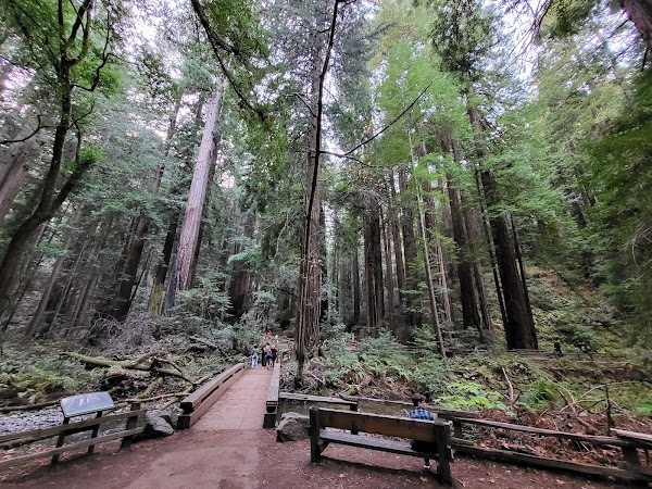 Muir Woods National Monument