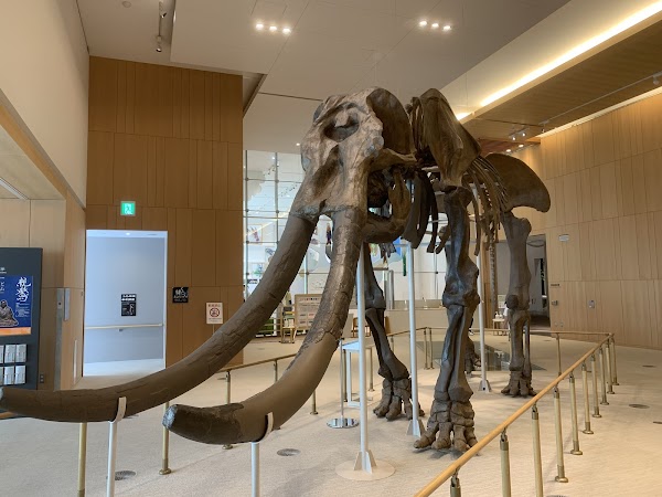 Mie Prefectural Museum 4