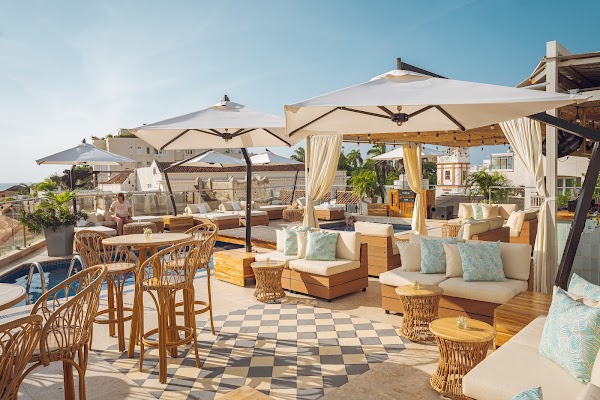 Rooftop Urania