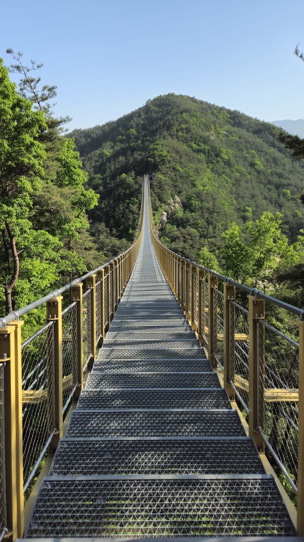 수승대 출렁다리