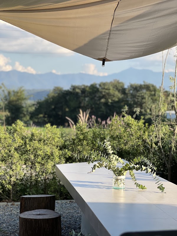 Mist Villa & Cafe