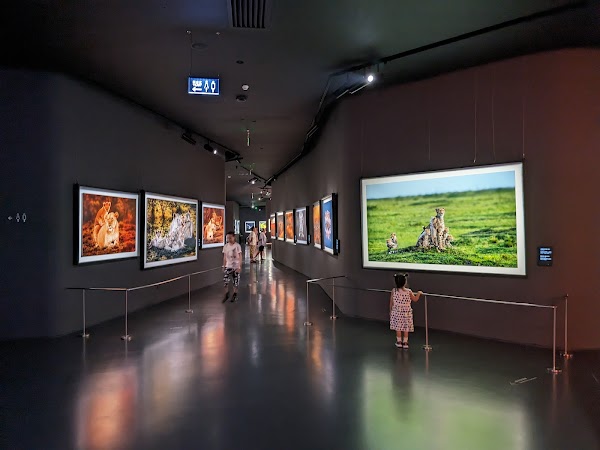 Luohong Photography Art Space Gallery 1