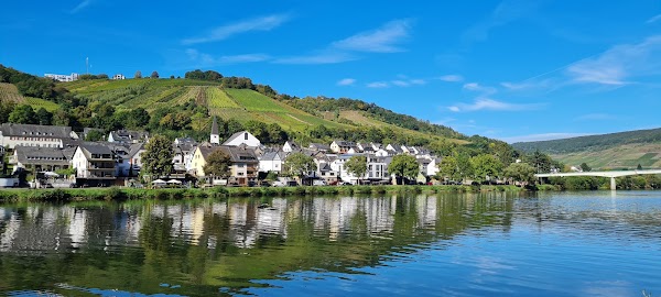 Zell 4