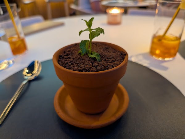 Stella's Cucina 3