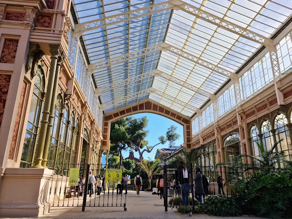 Hivernacle del Parc de la Ciutadella 5