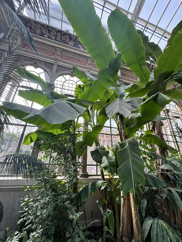 Hivernacle del Parc de la Ciutadella 4