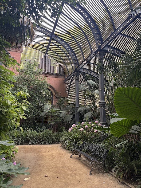 Hivernacle del Parc de la Ciutadella 3