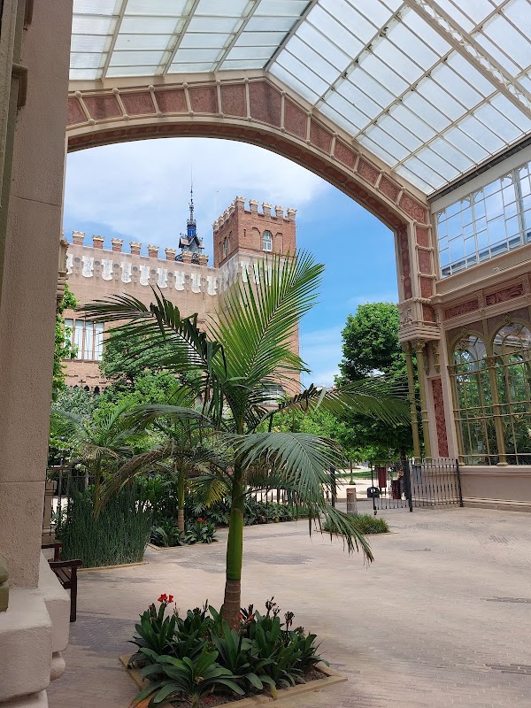 Hivernacle del Parc de la Ciutadella 2
