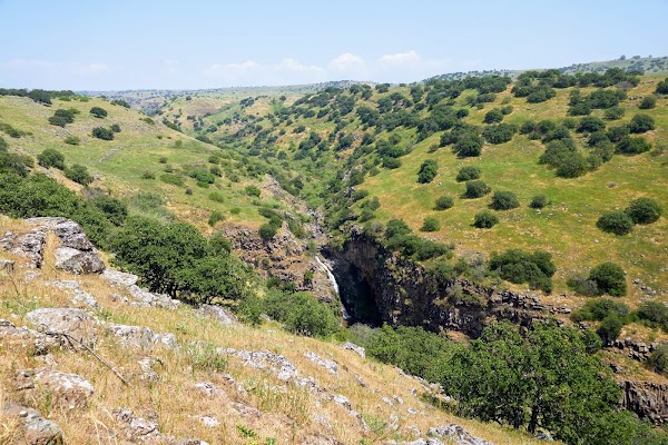 Yehudiya Reserve 1