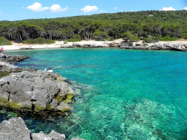 Parco naturale regionale Porto Selvaggio e Palude del Capitano