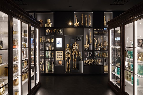 RSU Anatomy Museum 1