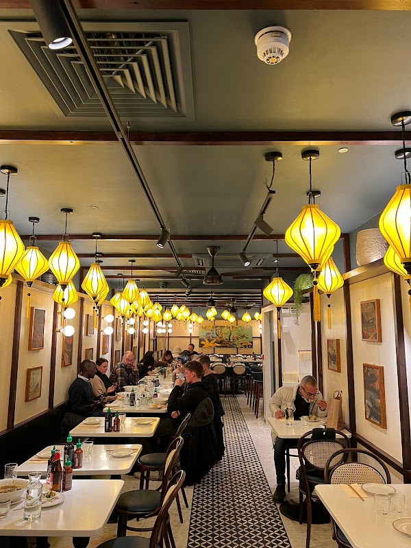Cay Tre Soho 1