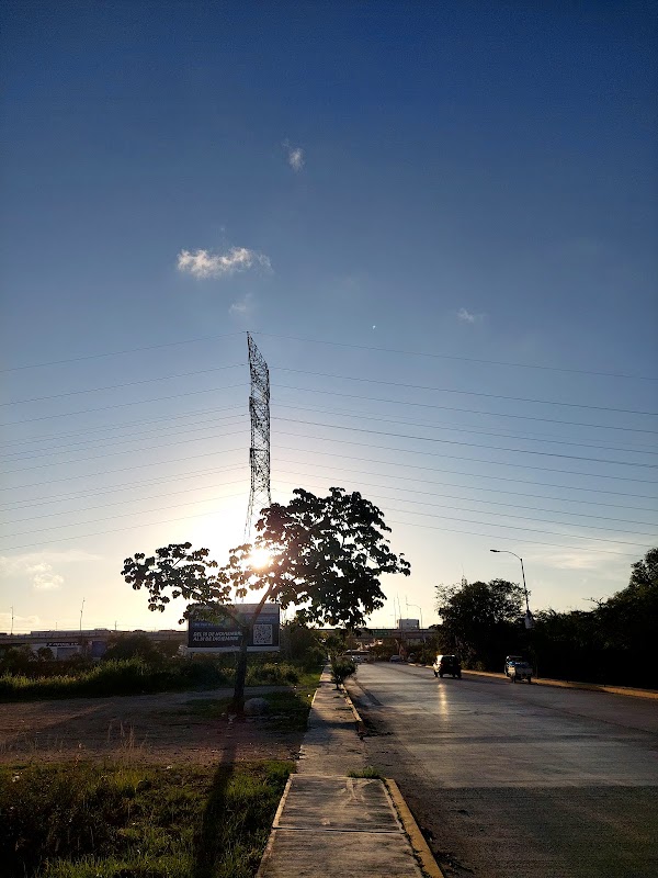Calle 38 Norte