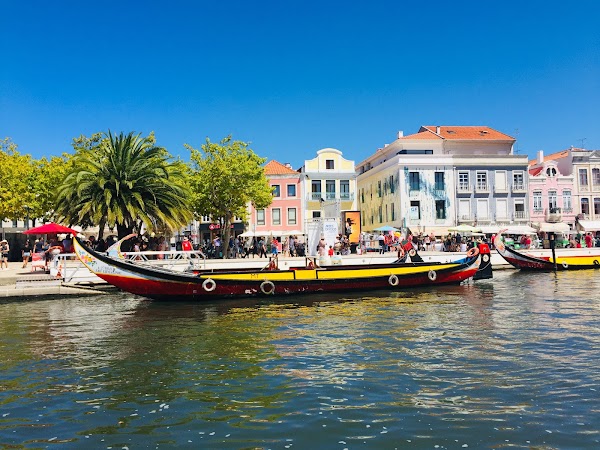Aveiro Lagoon
