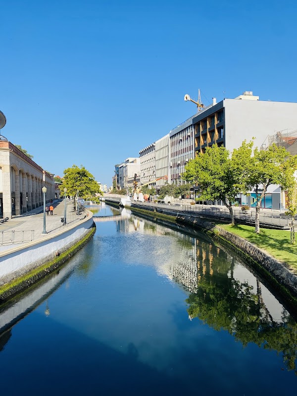 Aveiro Lagoon 5