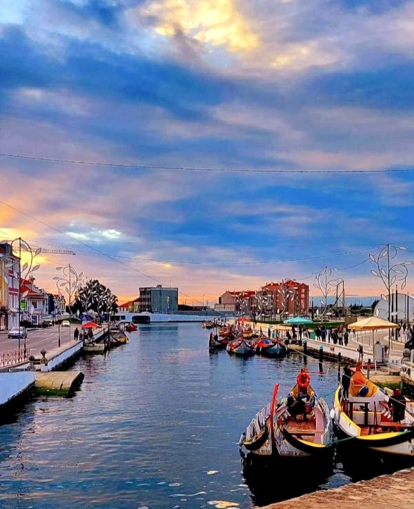 Aveiro Lagoon 4