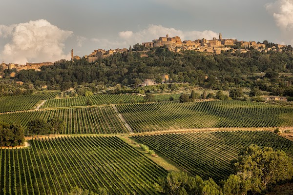 Azienda Agricola Canneto