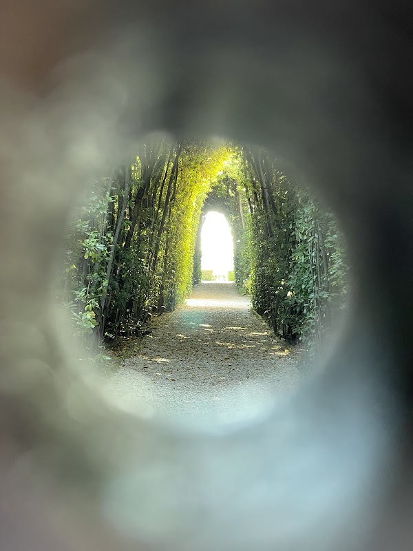 Aventine Hill 3