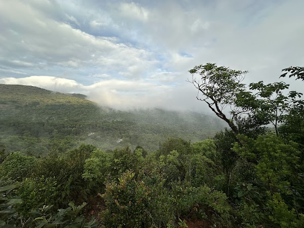 Brahmagiri Wildlife Sanctuary Karnataka