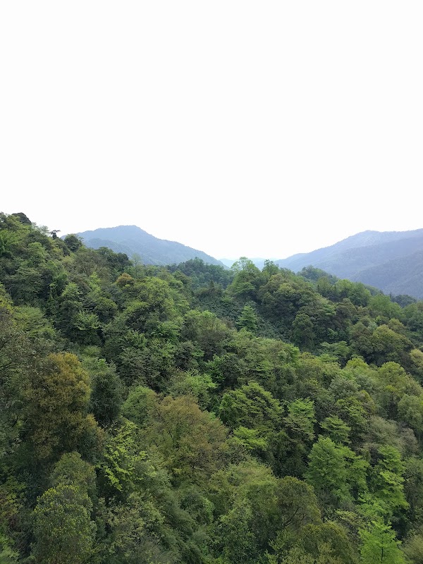 Qingcheng Shan 4