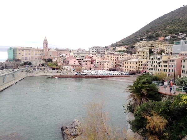 Genoa 5
