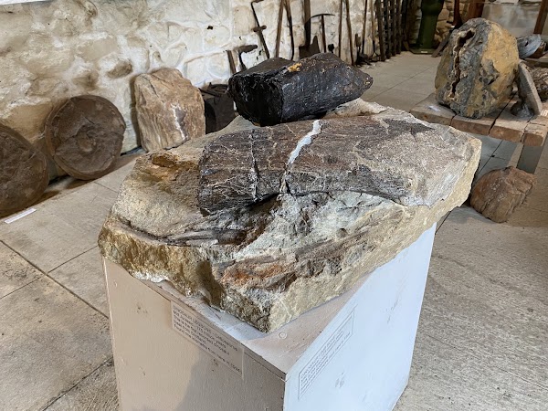 Staffin Museum ( Dinosaur fossils and other artifacts) 4